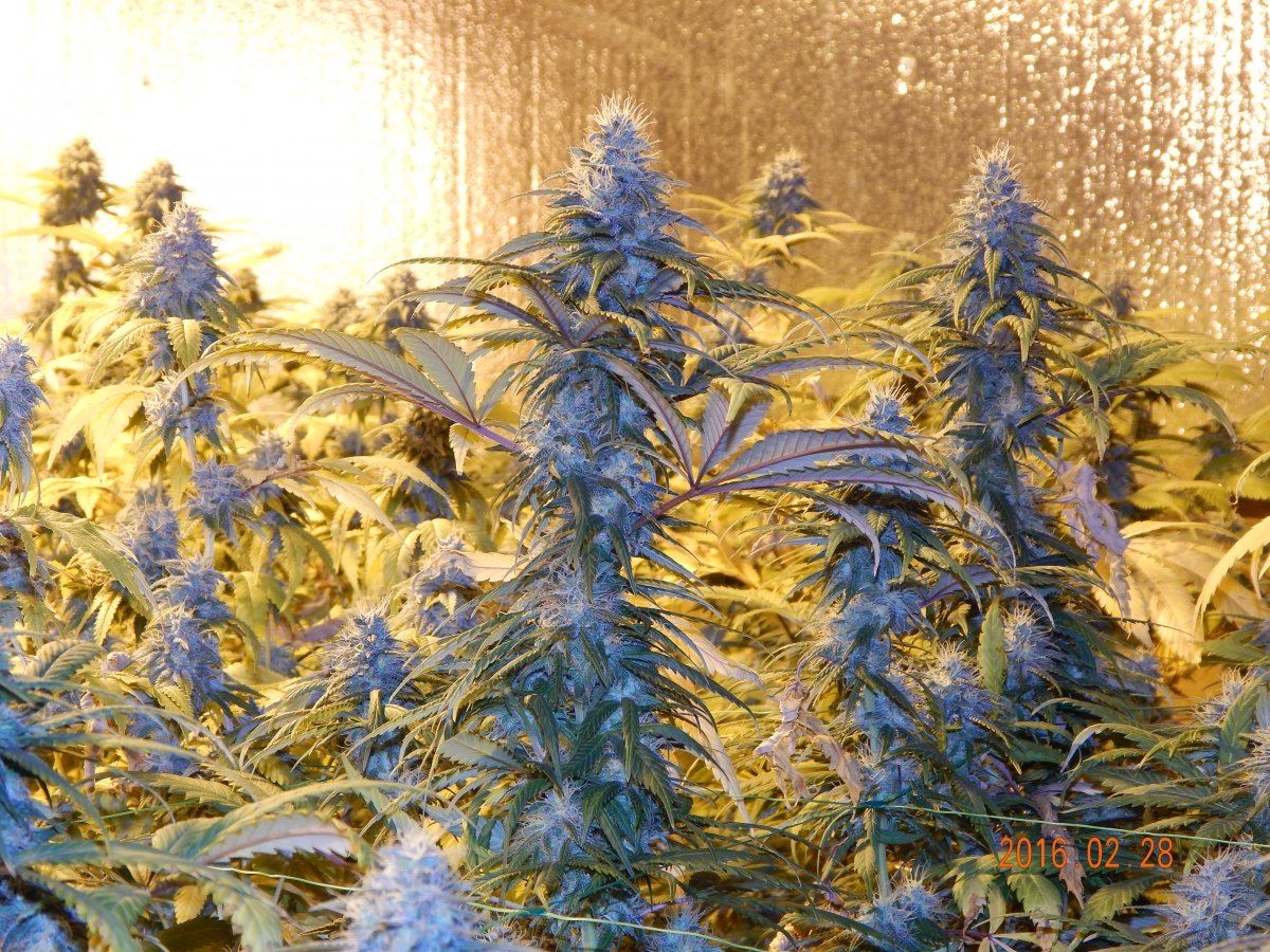 Week 6 051