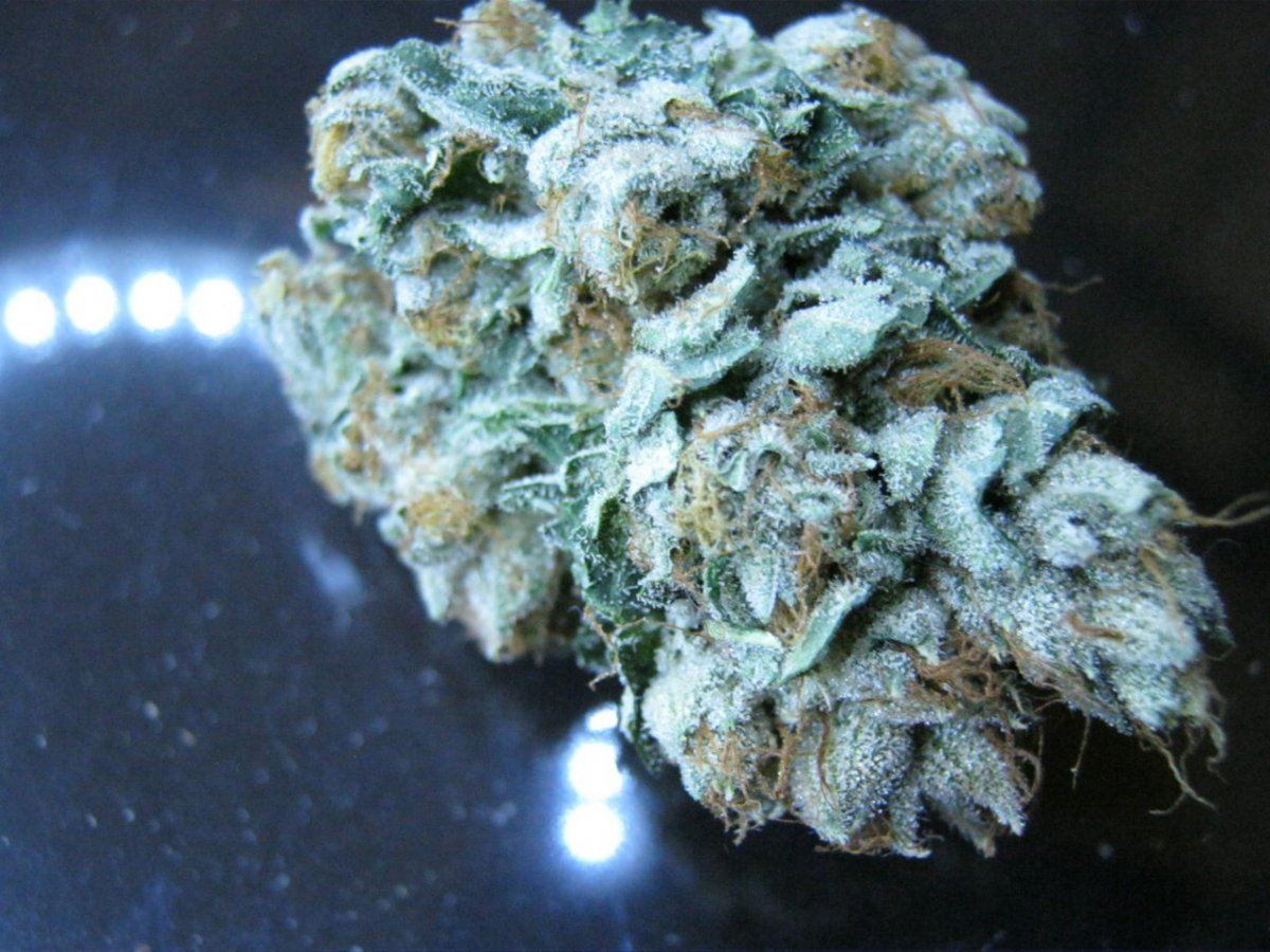 Week 8 aptus 040