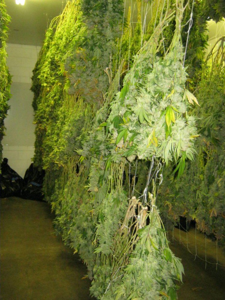 Week 8 aptus 055