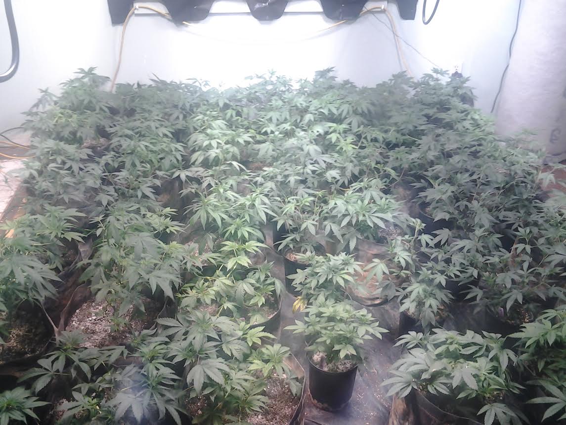 Week before
