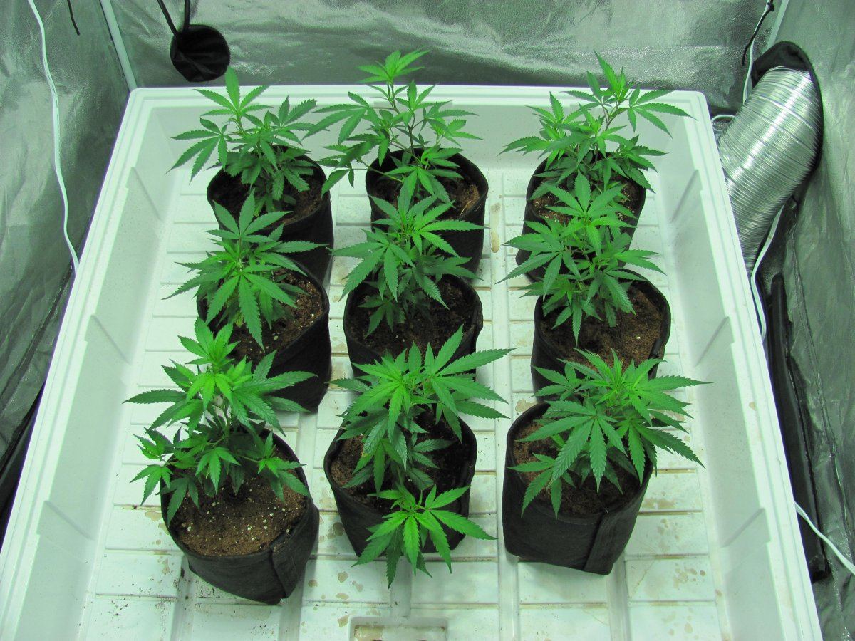 Week2