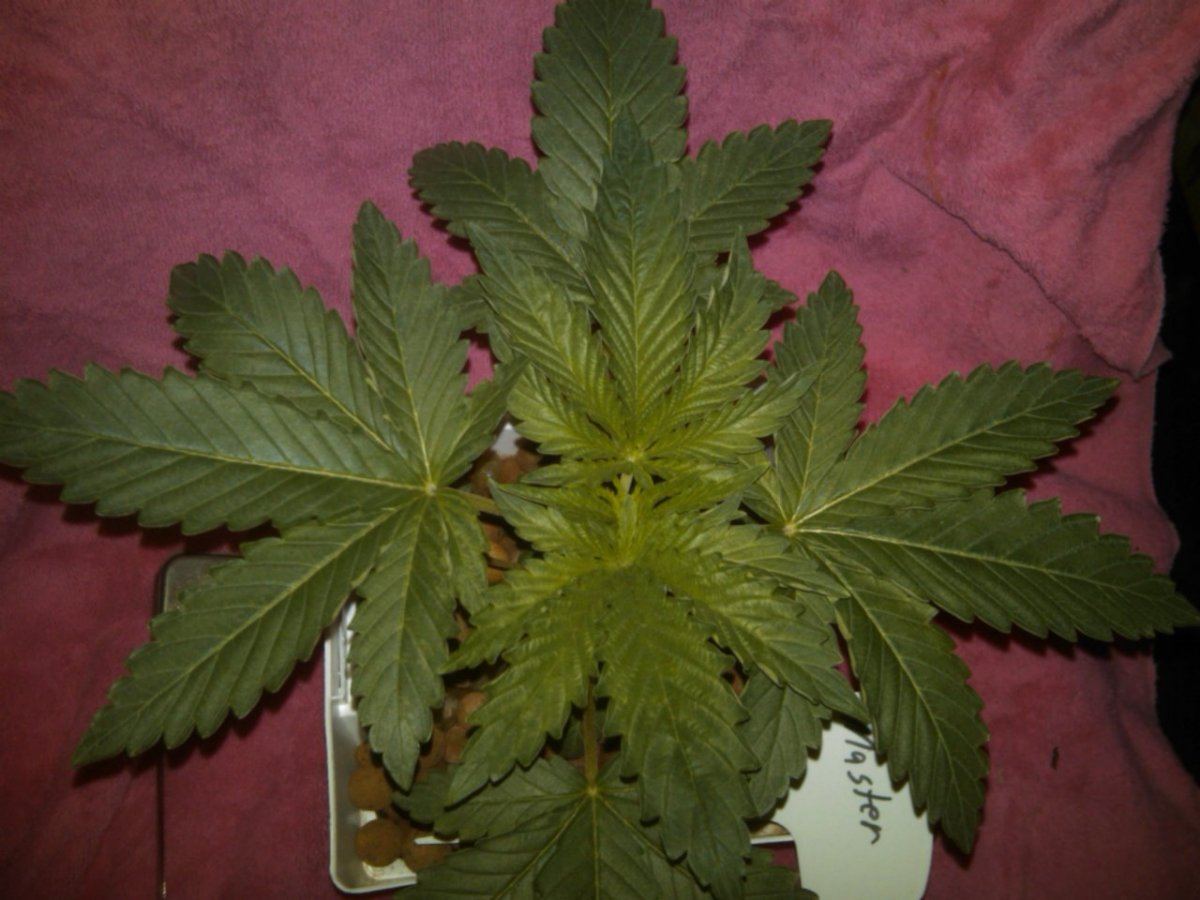 Week4