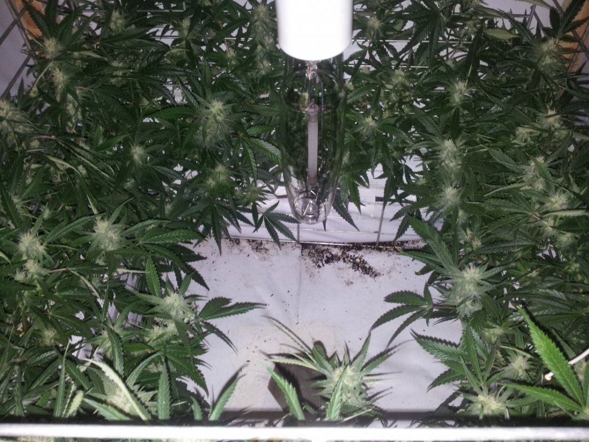 Week4