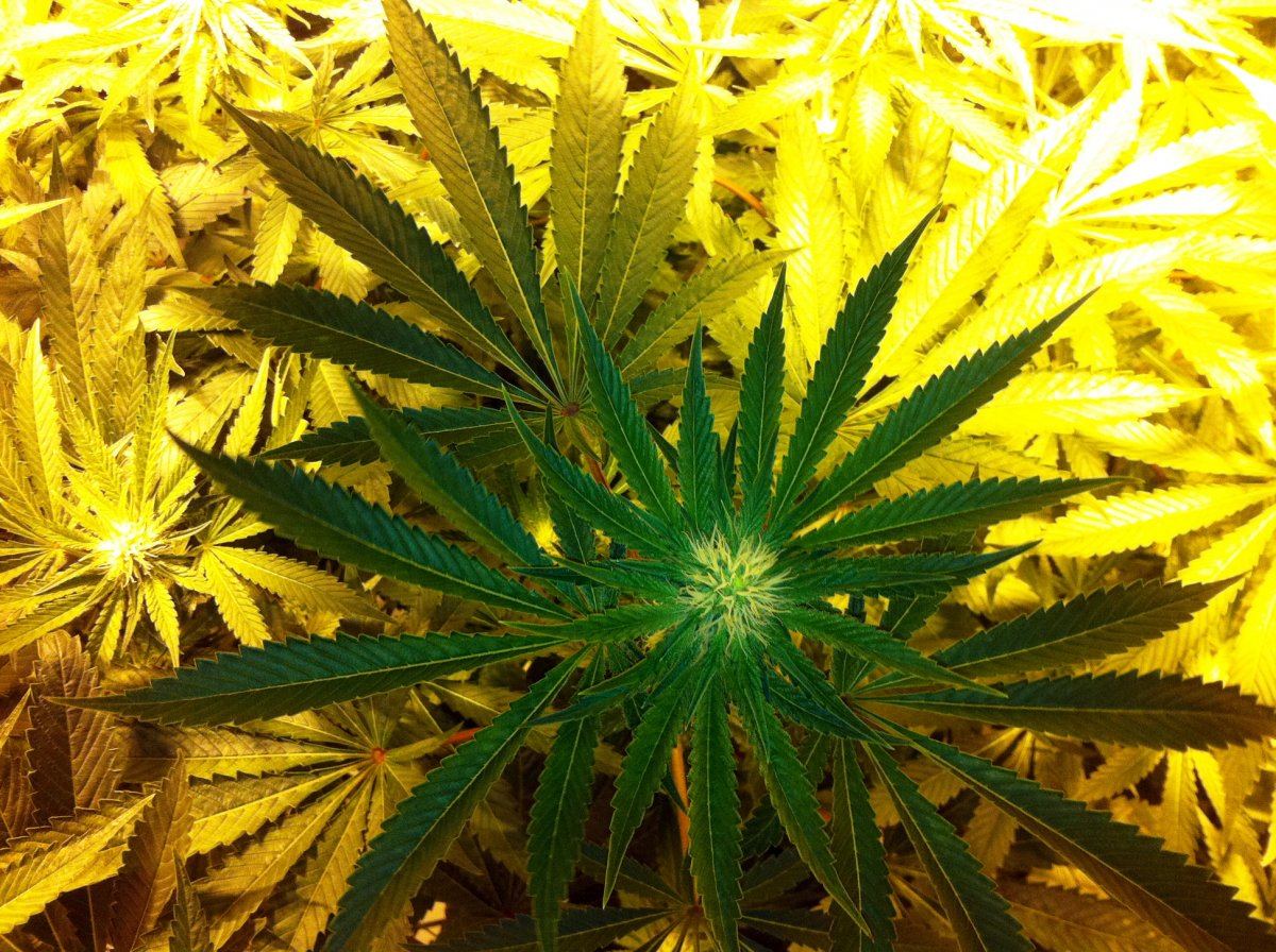 Week42