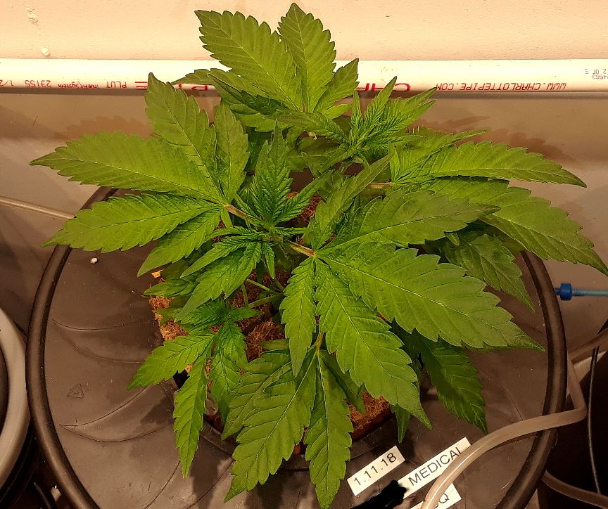 WEEK4 3
