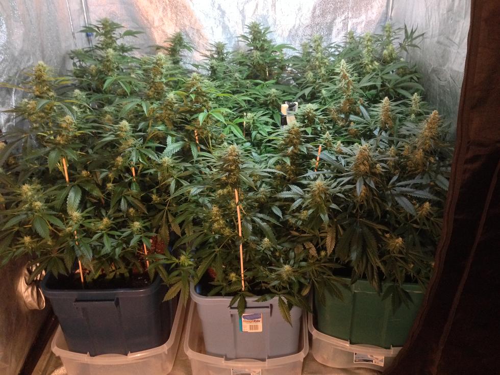 Week5