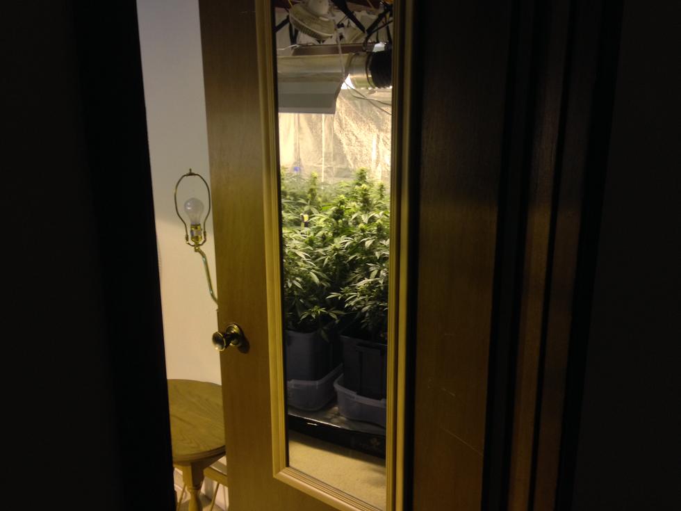 Week5mirror