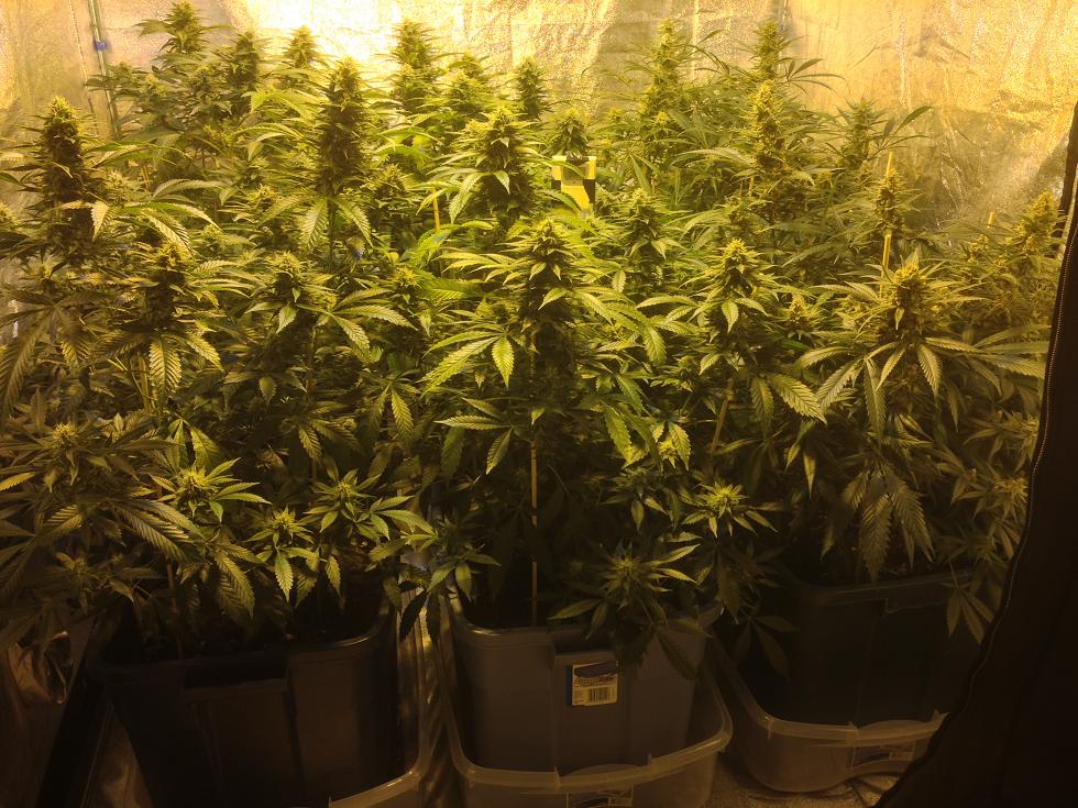 Week6