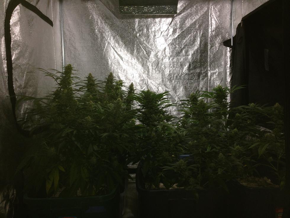 Week6s