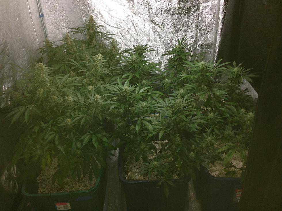 Week6u