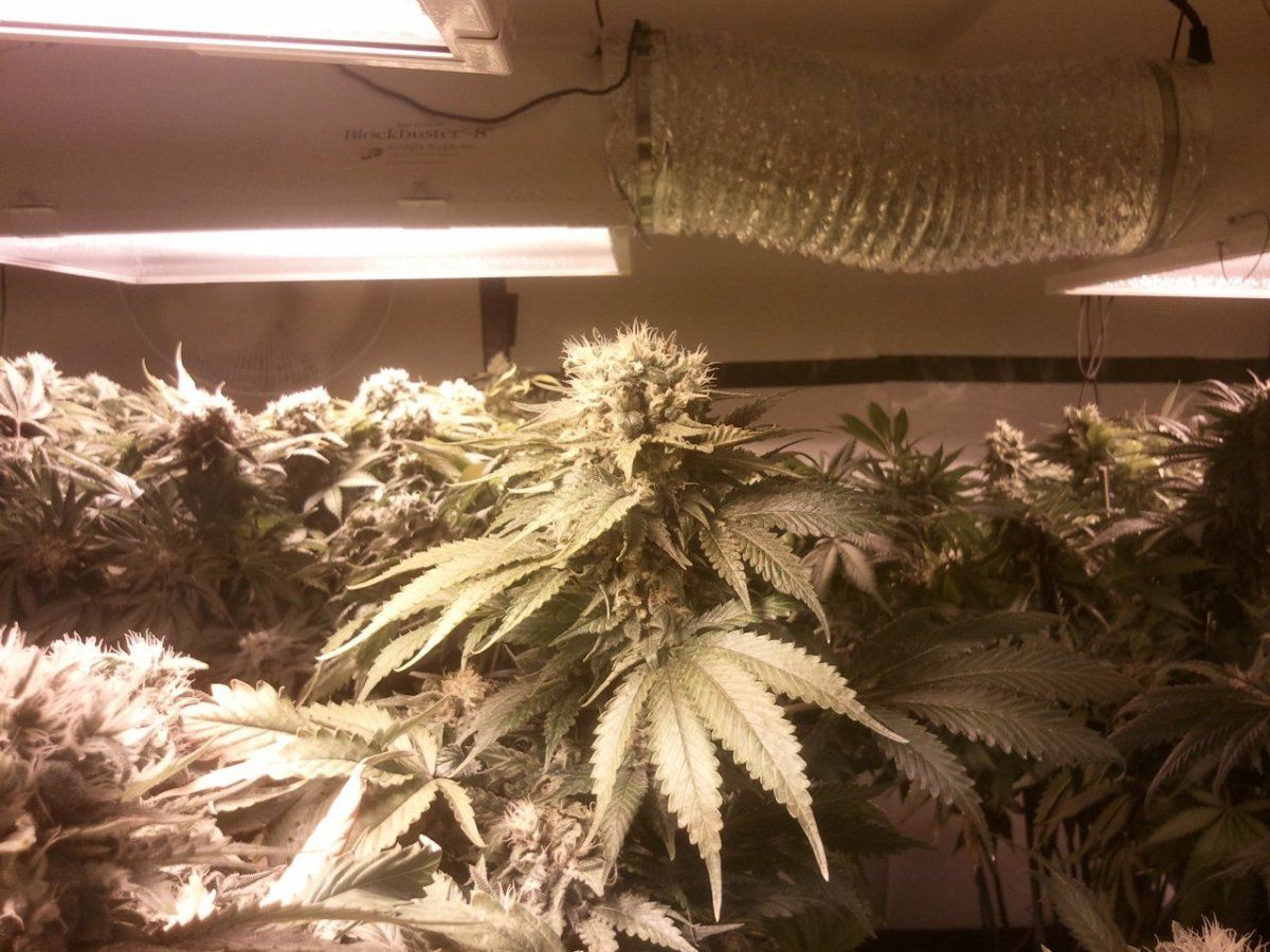 Week7