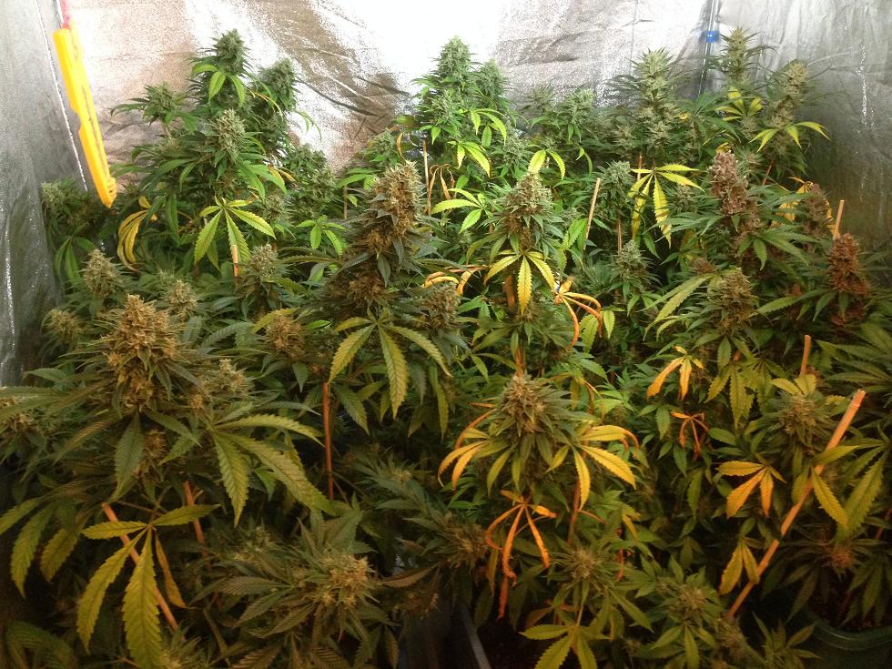 Week8