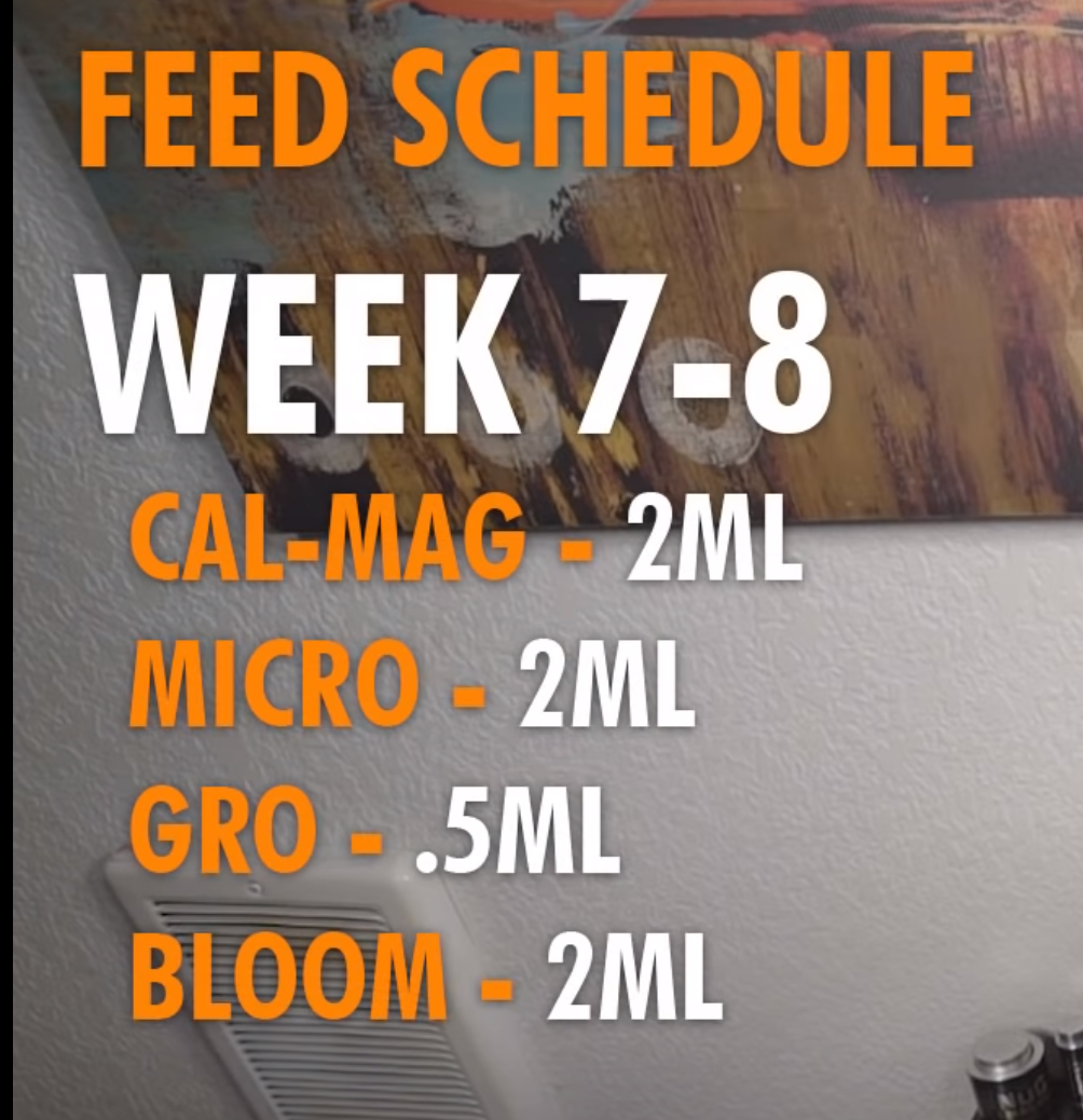 Weeks 7   8