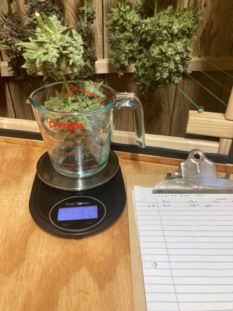 Weight1