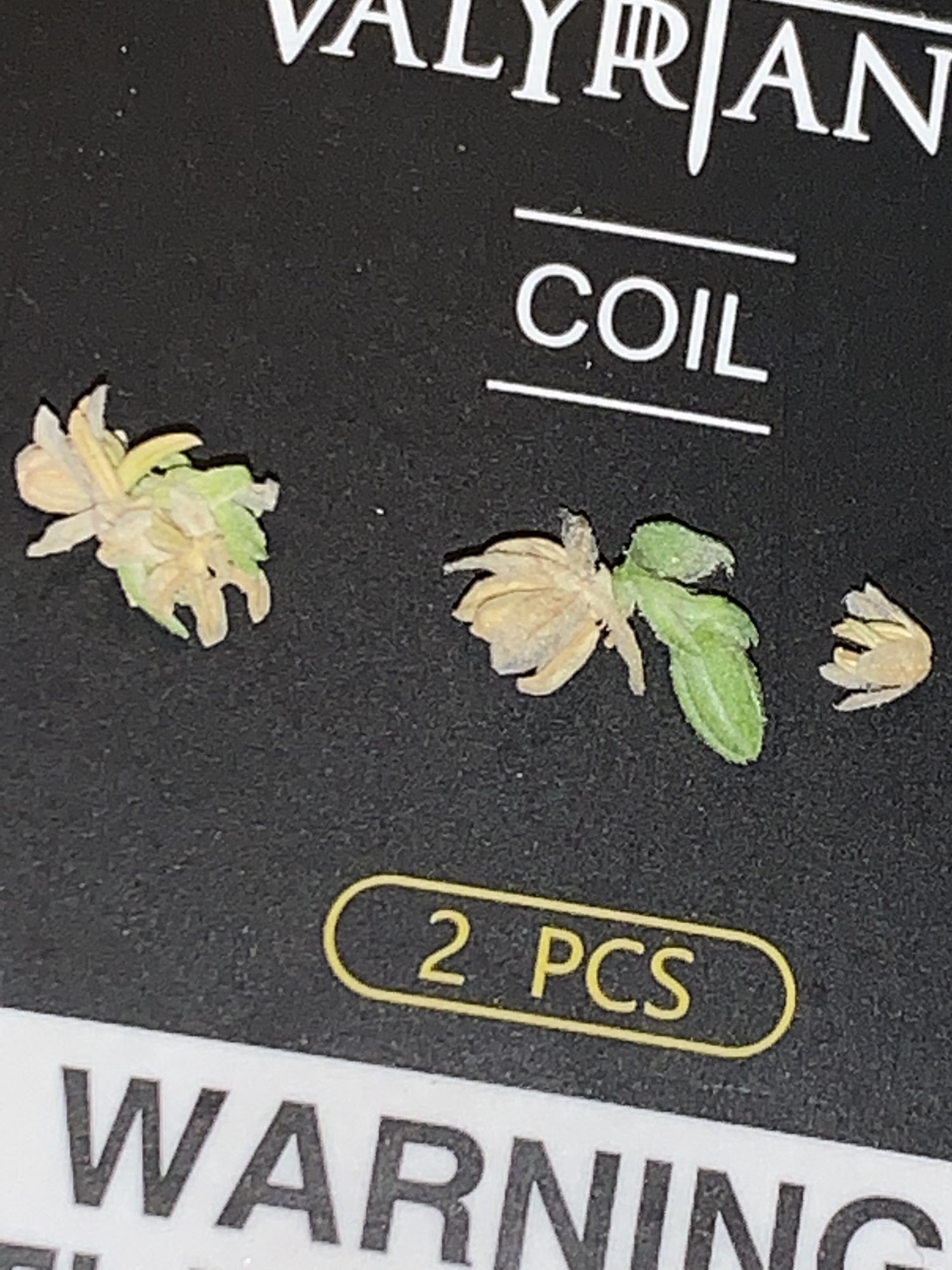 Weird buds found on stem joint