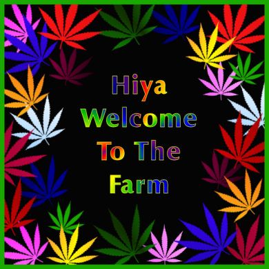 Welcome to the farm