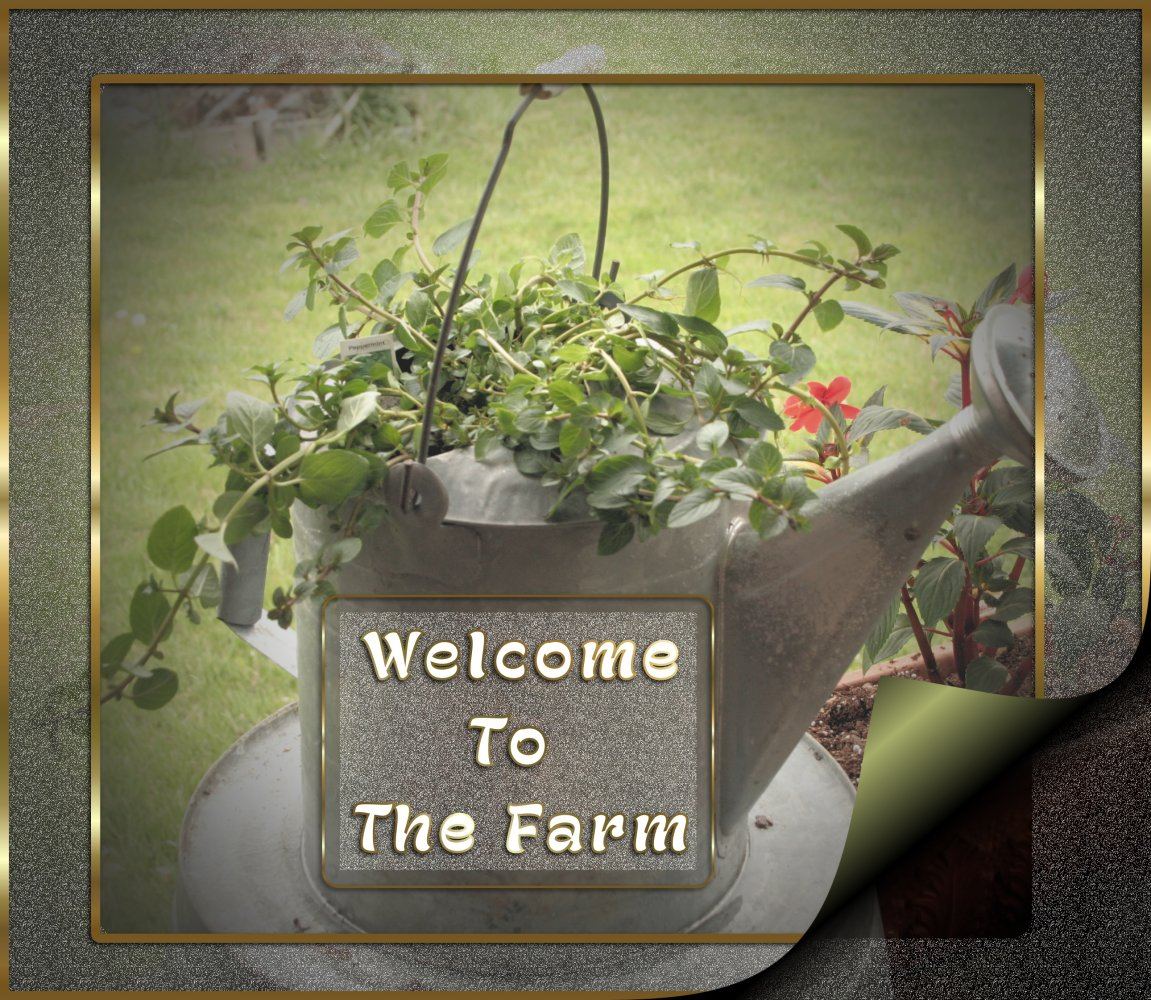 Welcome to the farm3