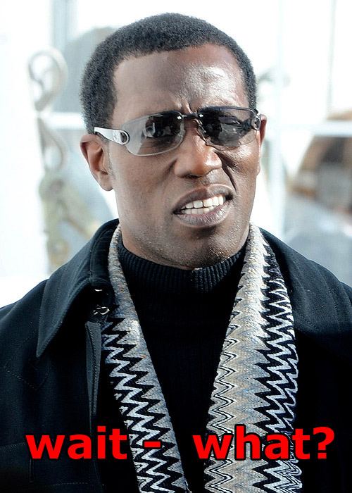 Wesley snipes taxes