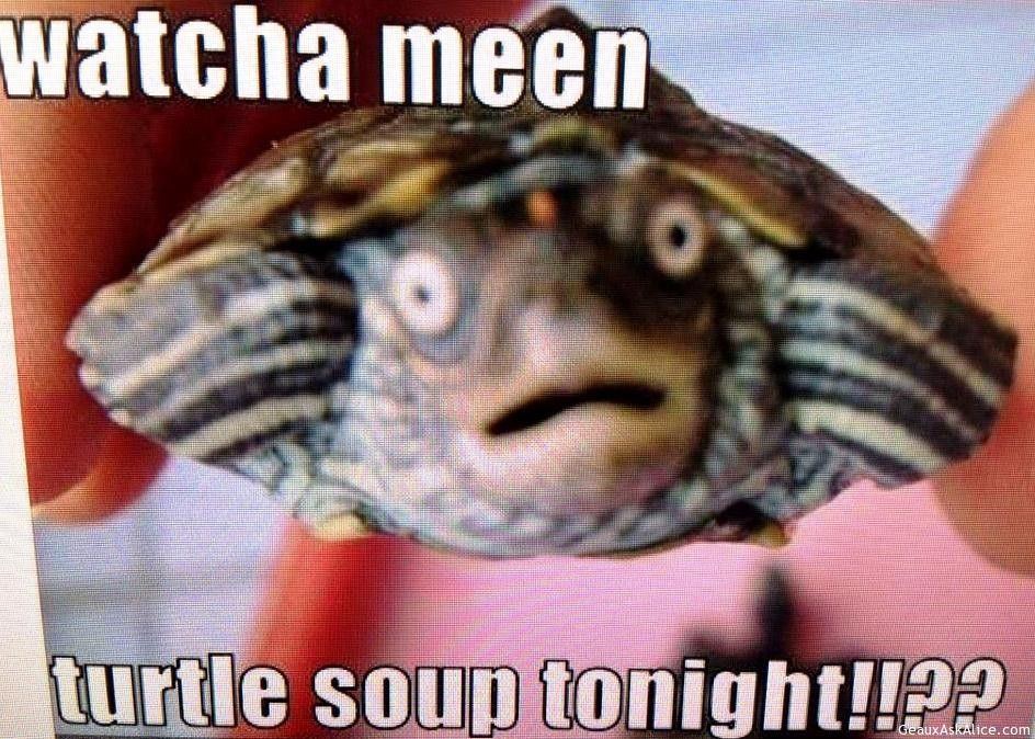 What cha mean