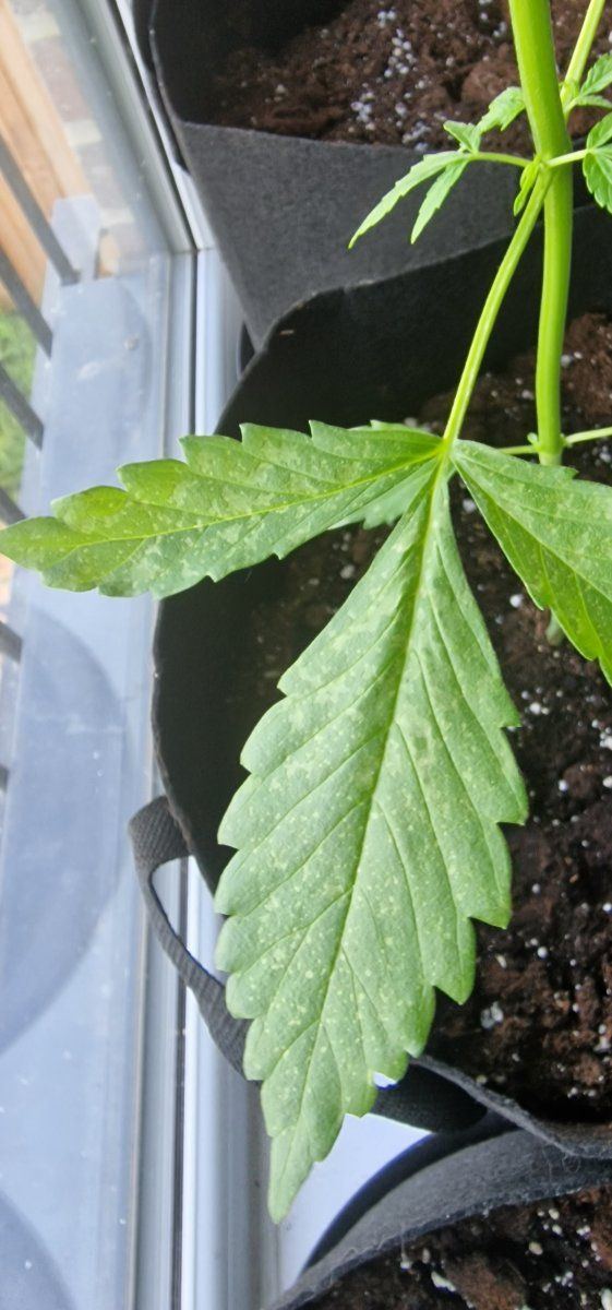 What deficiency do i have 2