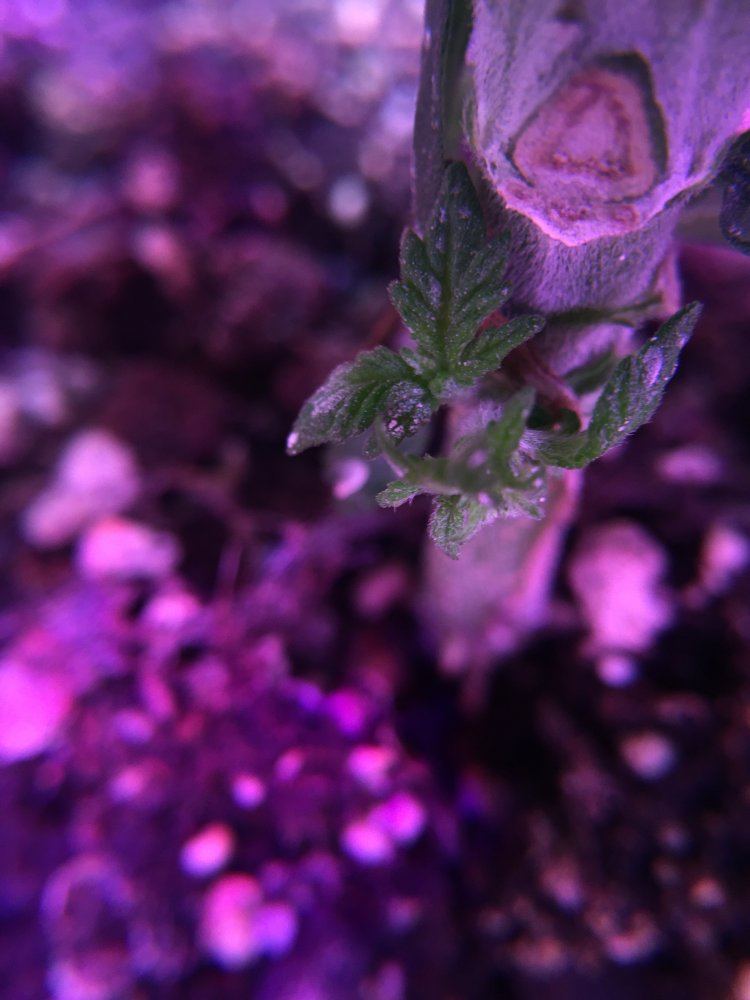 What do you think this is 6