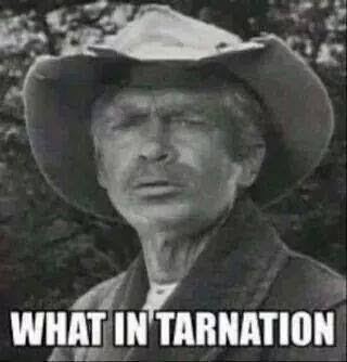 What in tarnation
