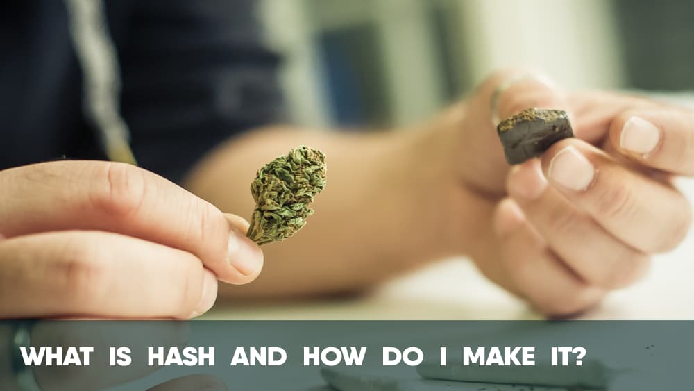 What is cannabis hash and how do I make it