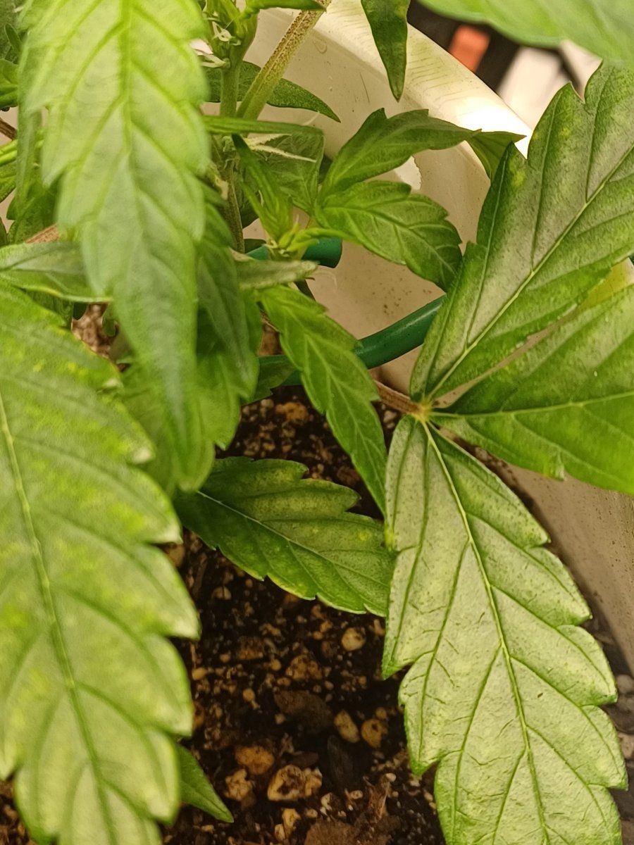 What is going on with this 3