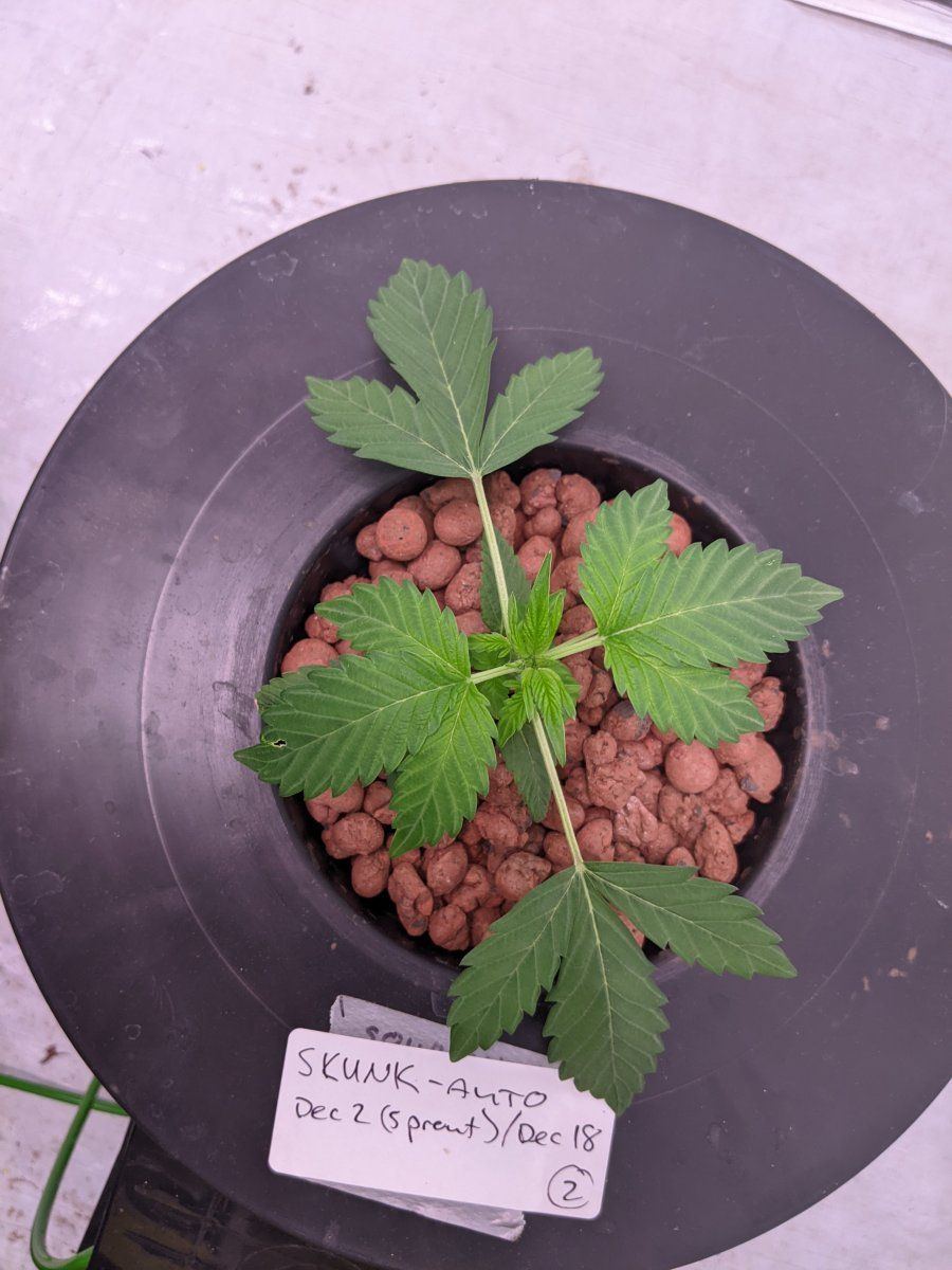 What is it and how do i fix it 3