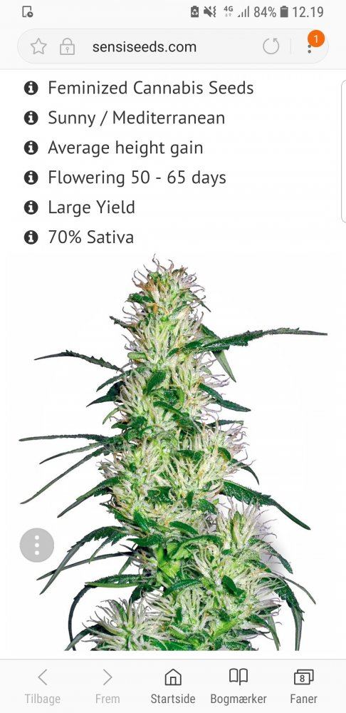What strain is this pls help me 5