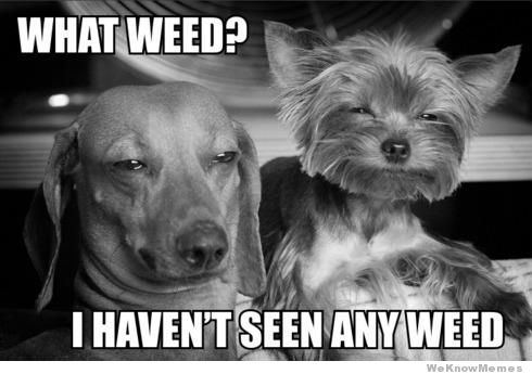 What weed meme