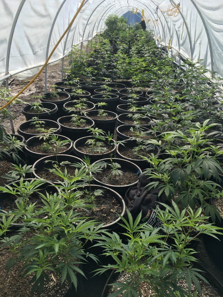 Whats the best way to pull your light dep tarp 3