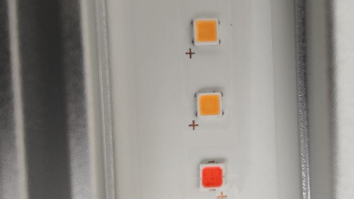 Which led diodes are these