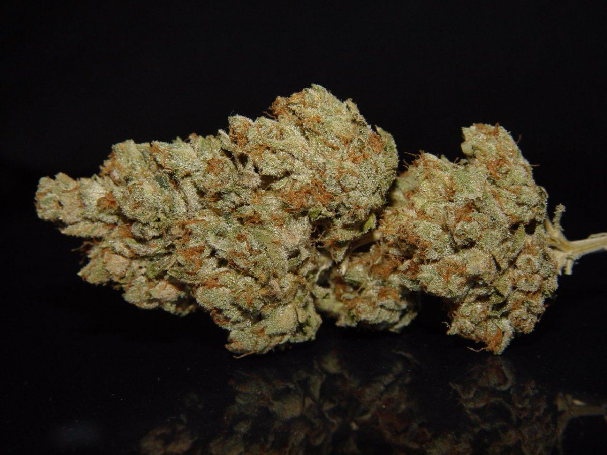 White Fire 3 1