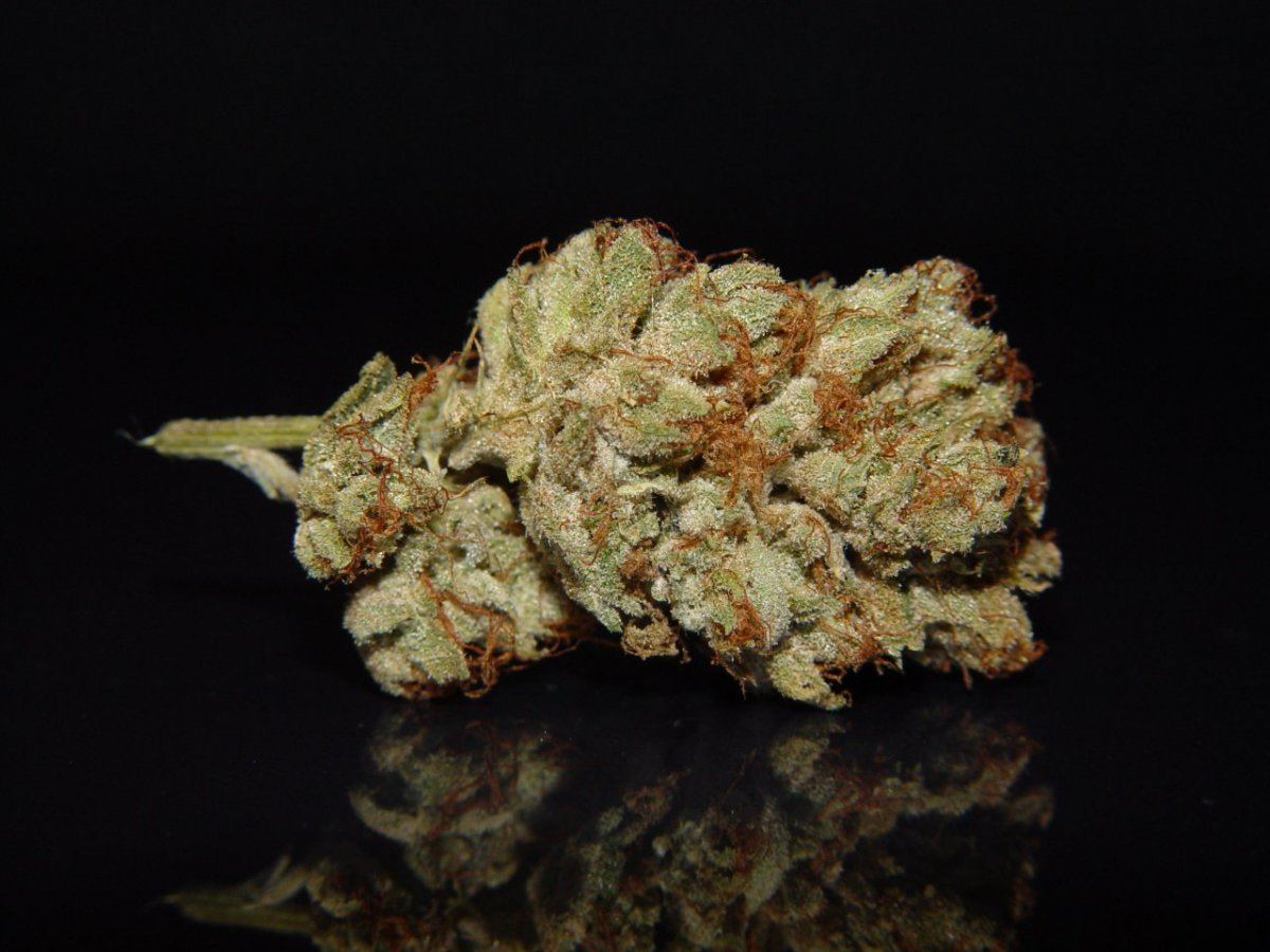 White Fire 3  1