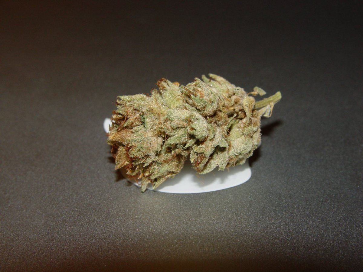 White Fire 3  1