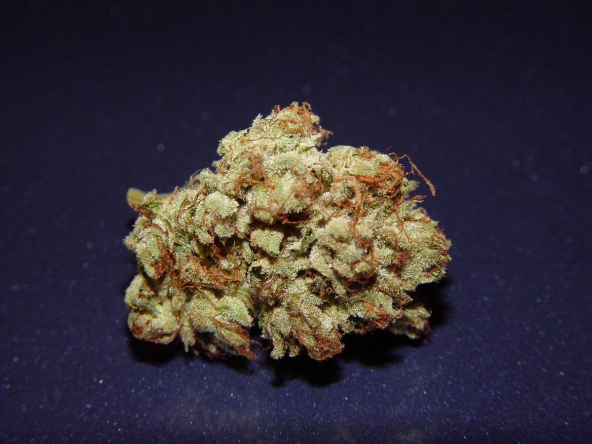 White Fire 3  3