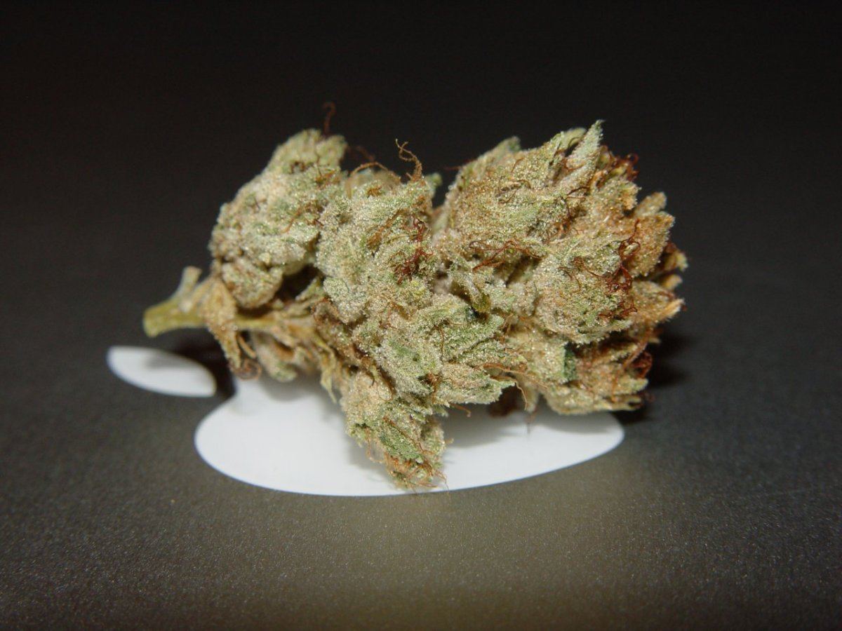 White Fire 3  3