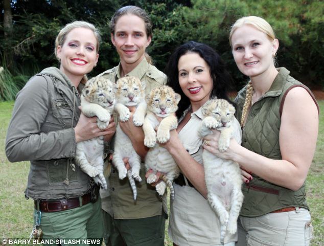 White liger cubs 5