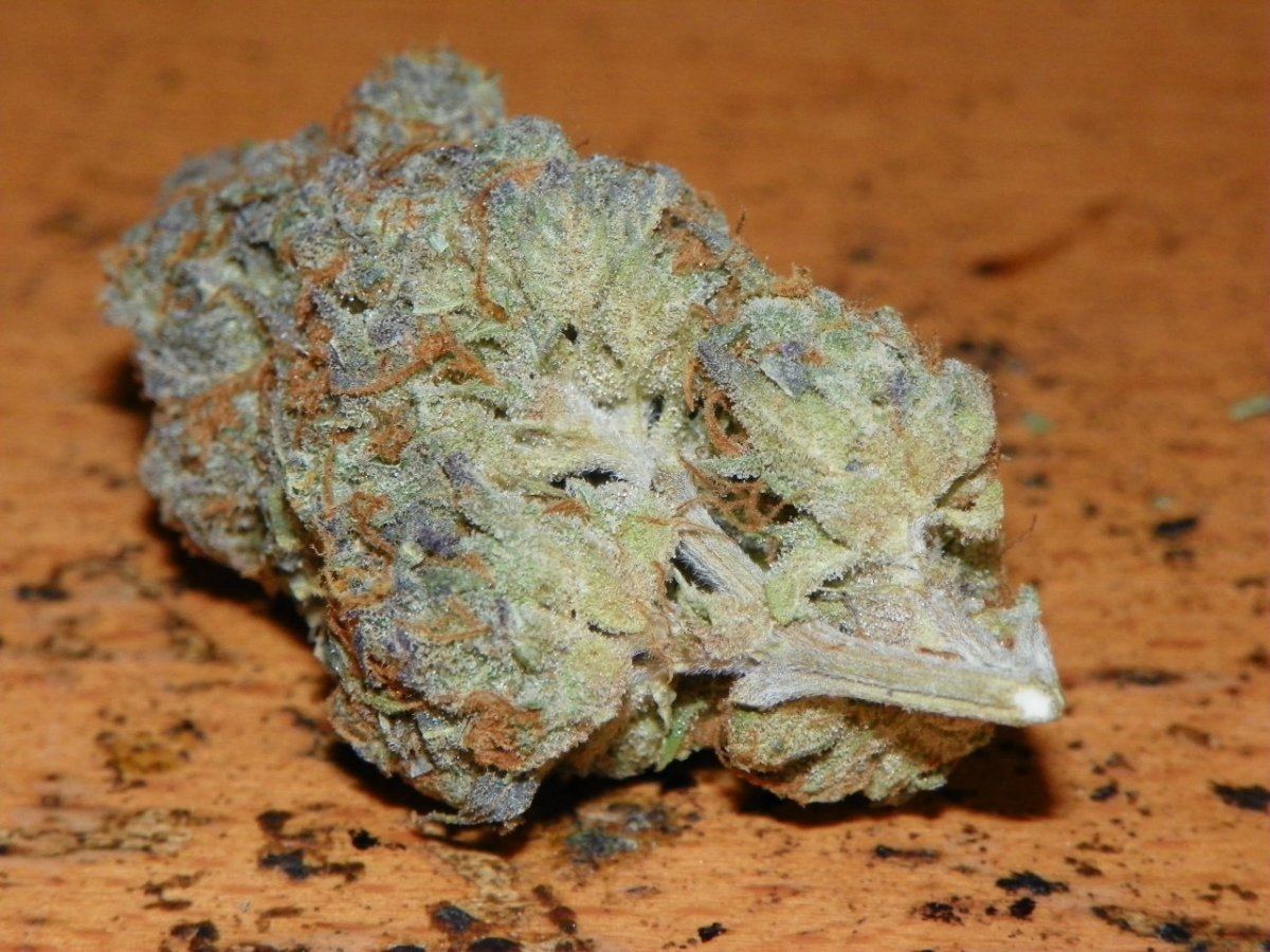 White pie  cherry pie x white 4
