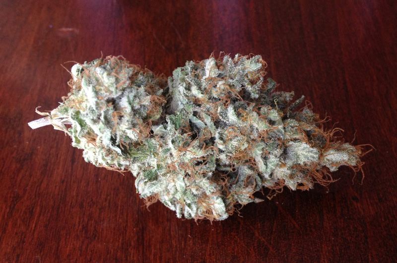 White siberian