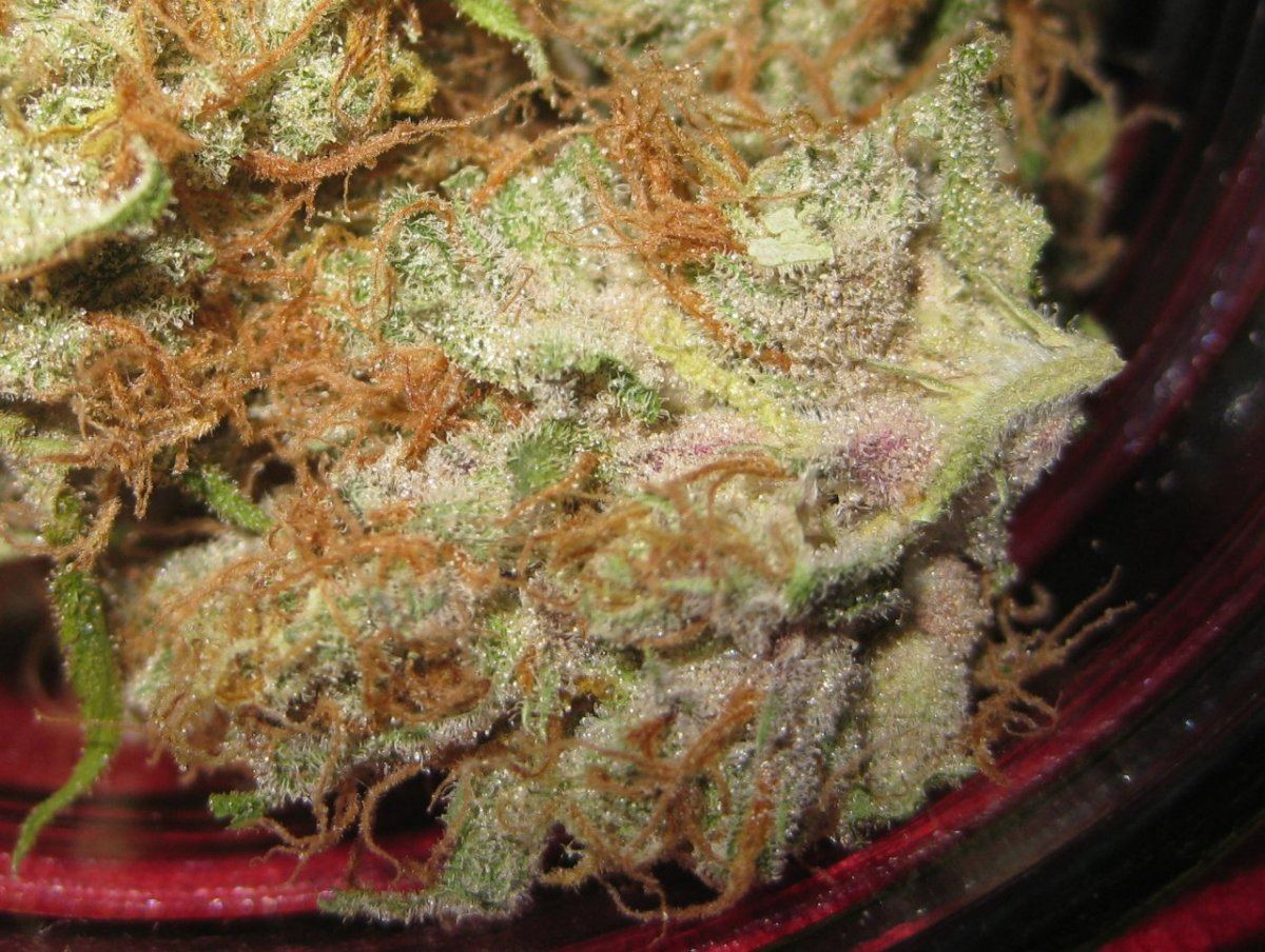 White strawberry nugs jar 1