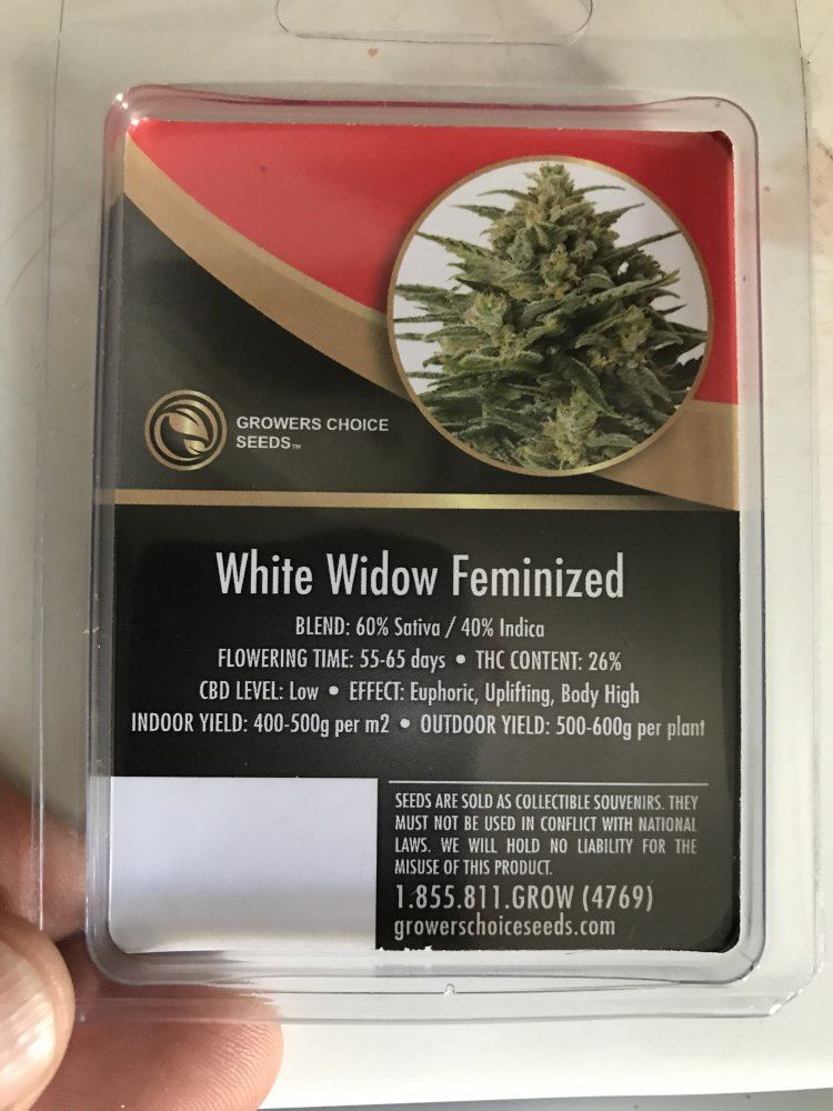White widow 400w grow 2