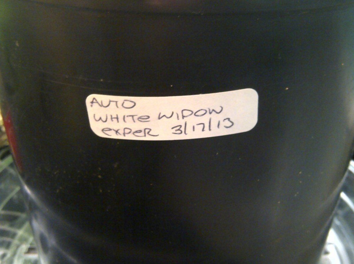 White widow auto