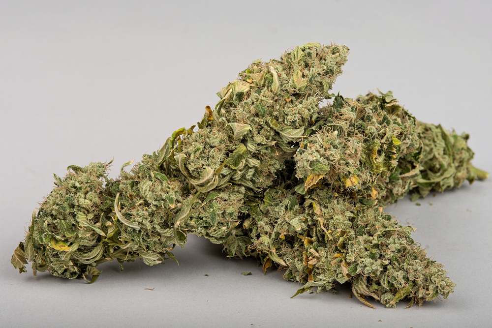 White Widow web