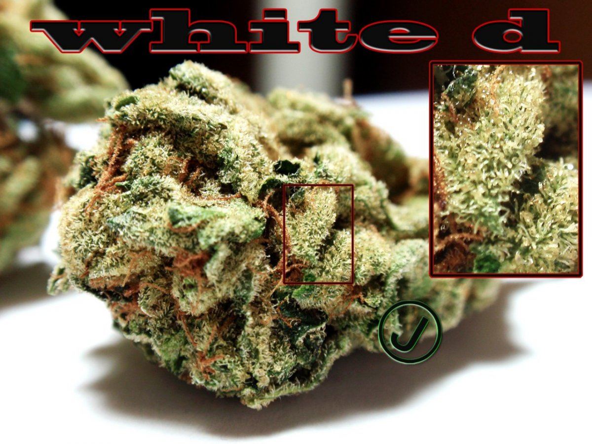 White d