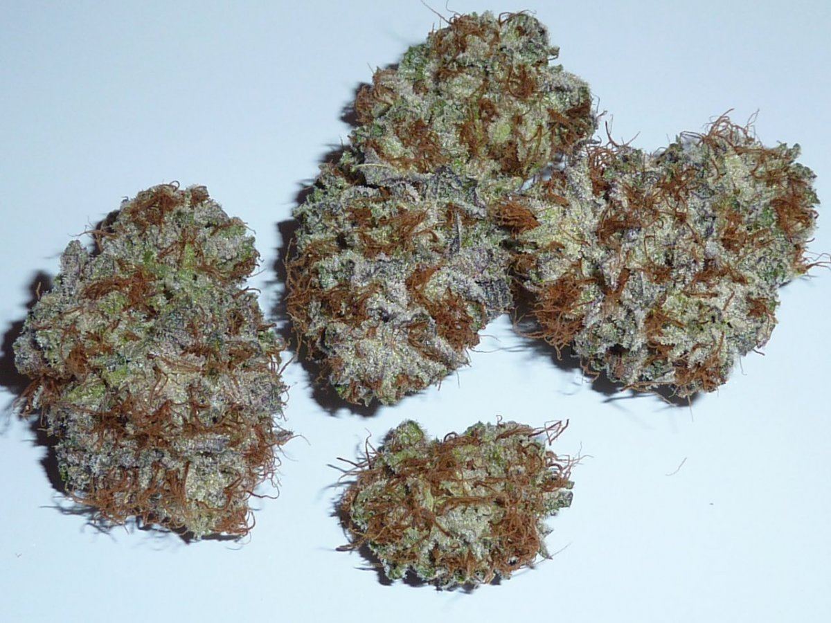 Whitemasterkush