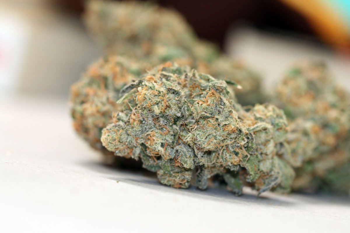 Whitexgsc