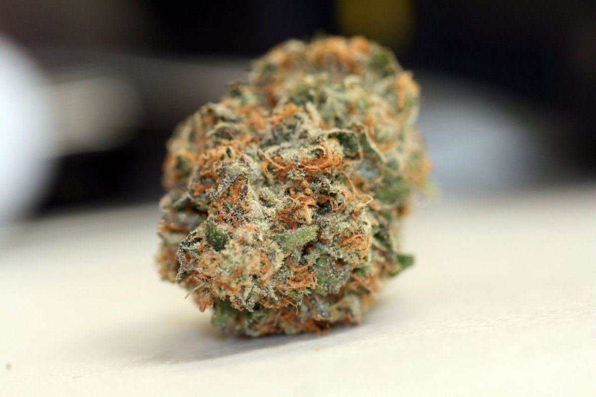 Whitexgsc2