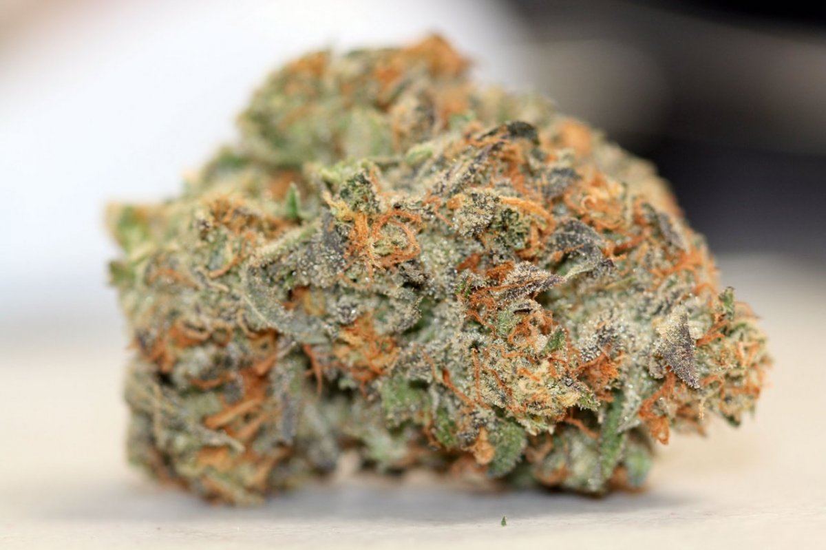 Whitexgsc3